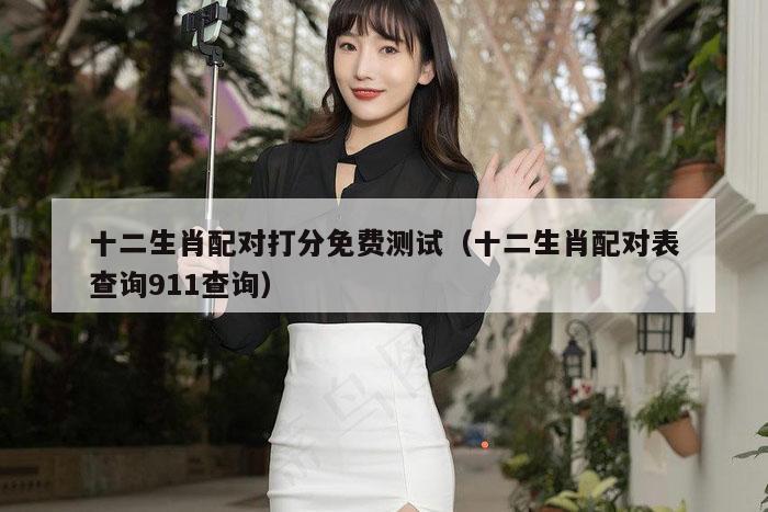 十二生肖配对打分免费测试（十二生肖配对表查询911查询）