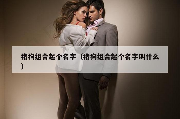 猪狗组合起个名字（猪狗组合起个名字叫什么）