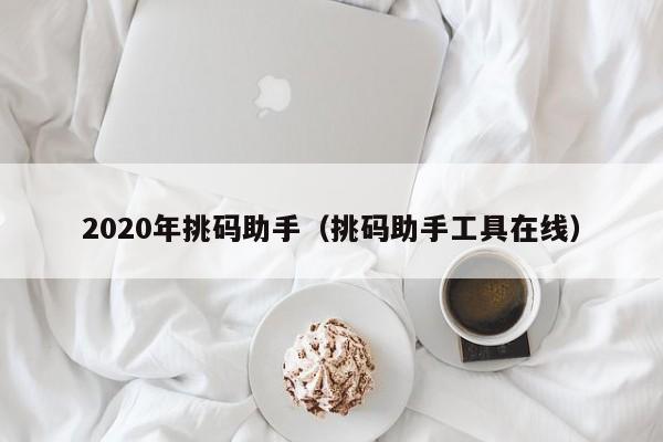2020年挑码助手（挑码助手工具在线）
