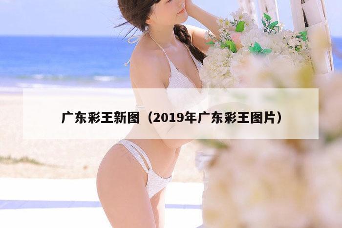 广东彩王新图（2019年广东彩王图片）