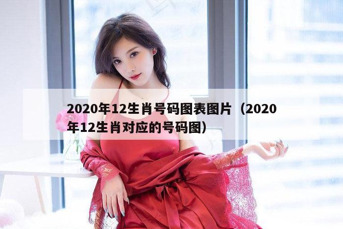 2020年12生肖号码图表图片（2020年12生肖对应的号码图）